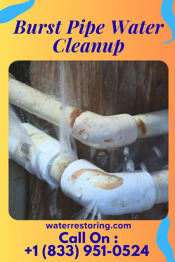 Burst Pipe Water Cleanup in National, MD