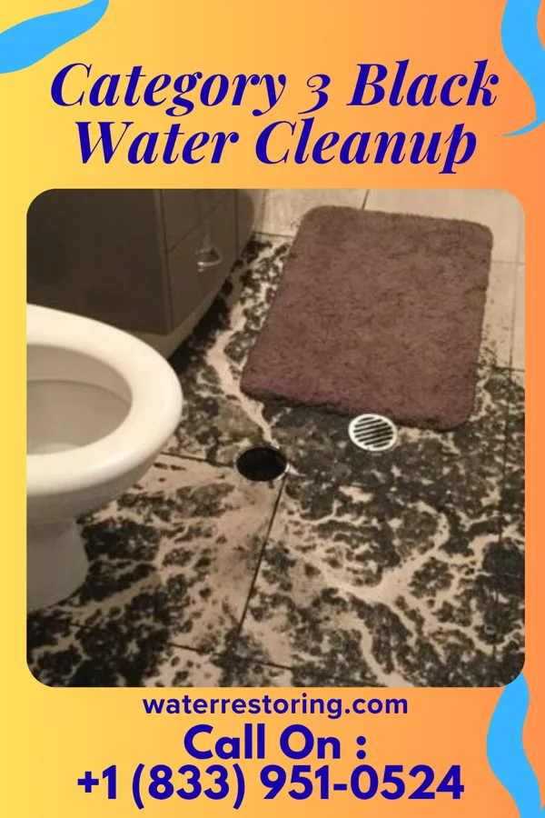 Category 3 Black Water Cleanup in National, MD