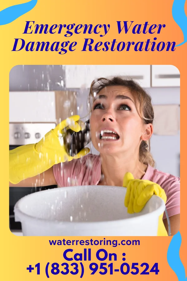 Emergency Water Damage Restoration in National, MD