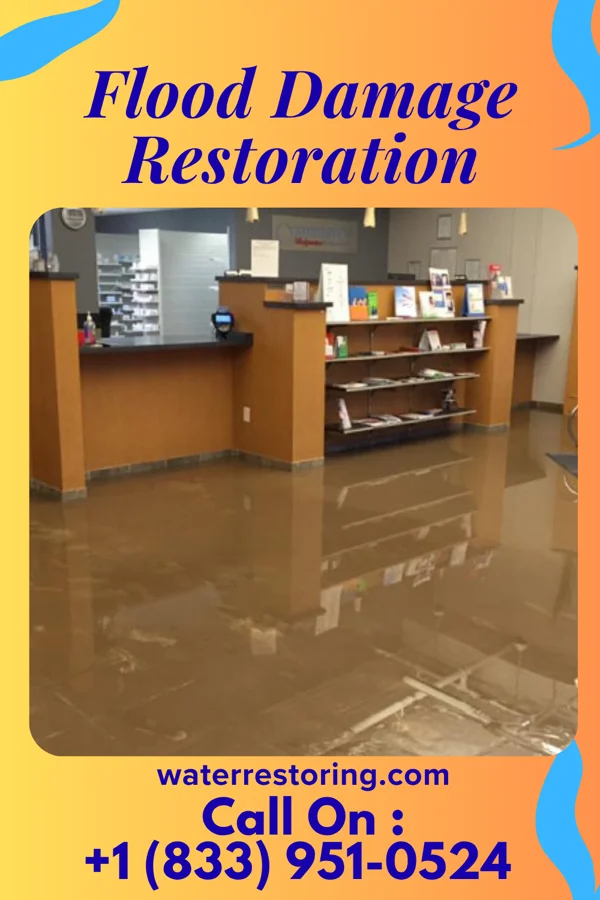 Flood Damage Restoration in National, MD