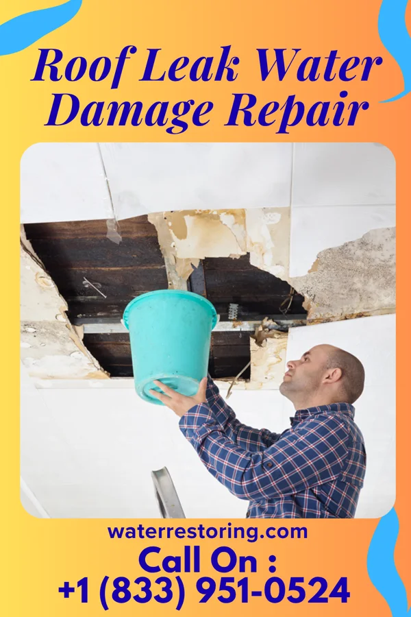 Roof Leak Water Damage Repair in National, MD